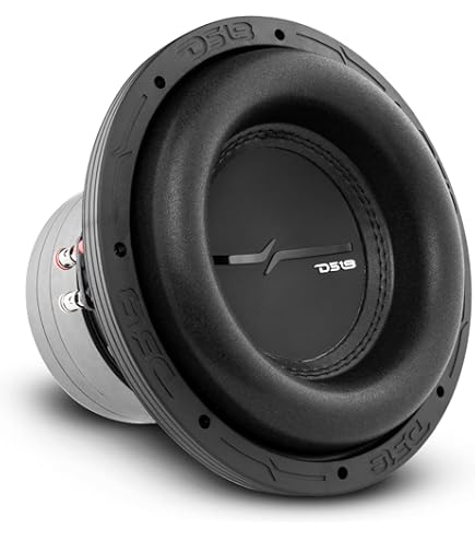 Amazon.com: DS18 ZXI8.2D High Excursion 8'' Car Audio Subwoofer